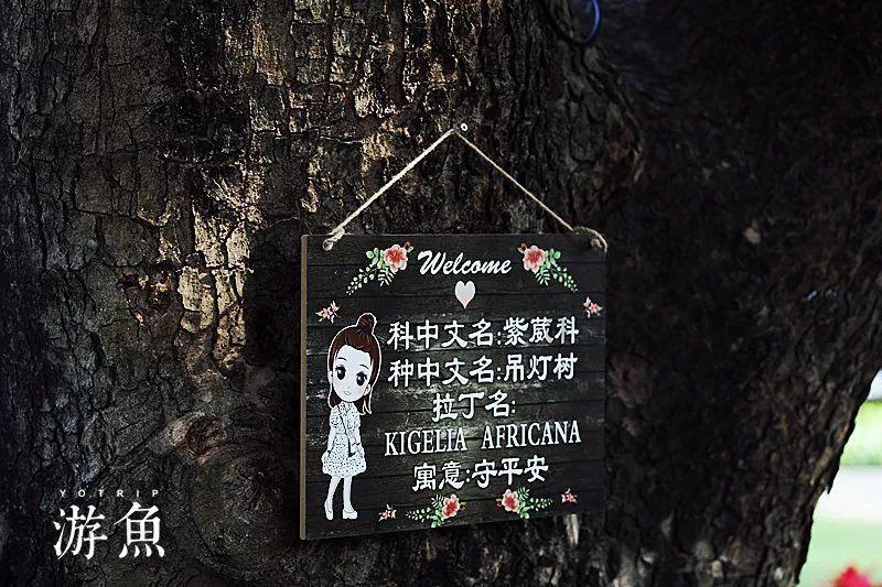551项服务事项全部进驻政务服务中心