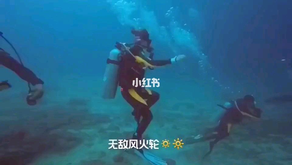 妙鸭相机app下载官网