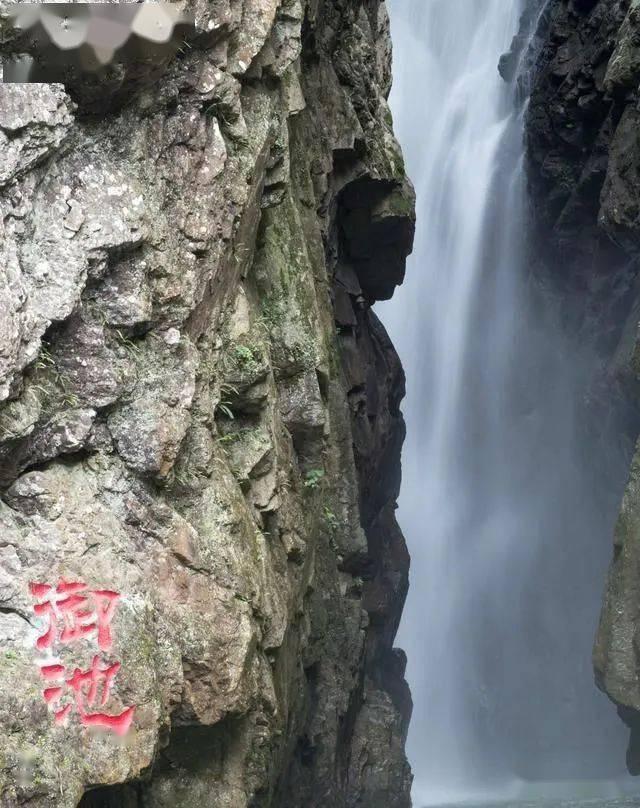 滚动的奶酪