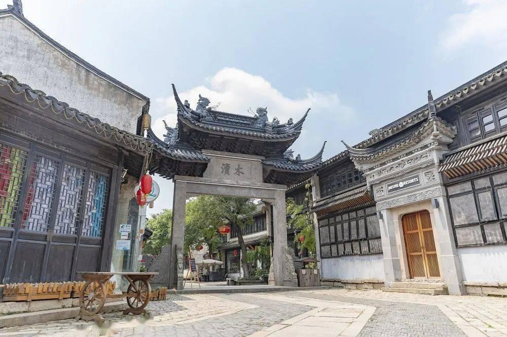 植物大战僵尸16